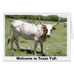 Texas Longhorn, Welcome to Texas Y'all.