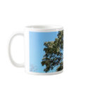 Texas Madrone mugs by JaguarPhotos Texas Madrone mugs