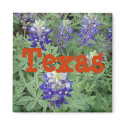 Texas Magnet