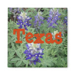 Texas Magnet