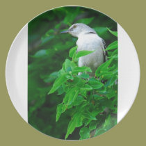 Texas Mockingbird plates