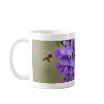 Texas Mountain Laurel Coffee Mugs