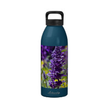 Texas Native Water Bottle