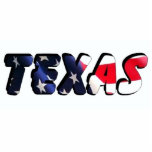 Texas Ornament
