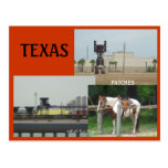 TEXAS POST CARD
