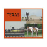 TEXAS