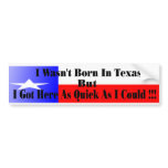 Texas Pride Bumper Stickers