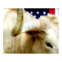 Texas Proud Poster posters
