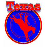 Texas Rodeo shirt F/B