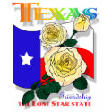 Texas rose shirt F/B
