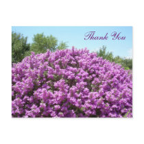 Texas Sage Thank You Postcard postcards