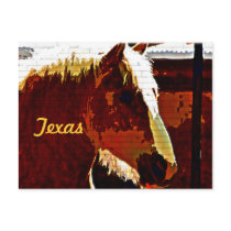 Texas, Sorrel Horse In Profile Postcard