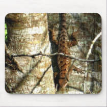Texas Spiny Lizard mousepads