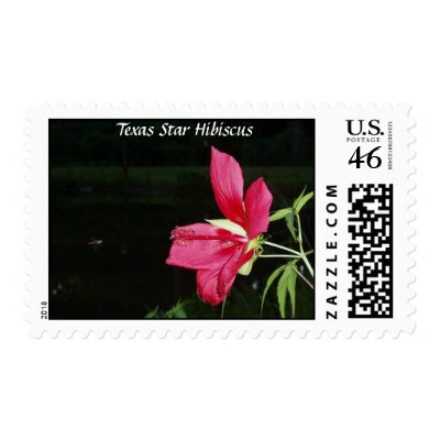 Texas Star Hibiscus Postage by naturegirl7
