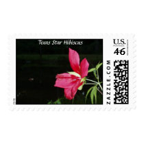 Texas Star Hibiscus Postage postage
