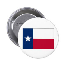 Texas State Flag Pin