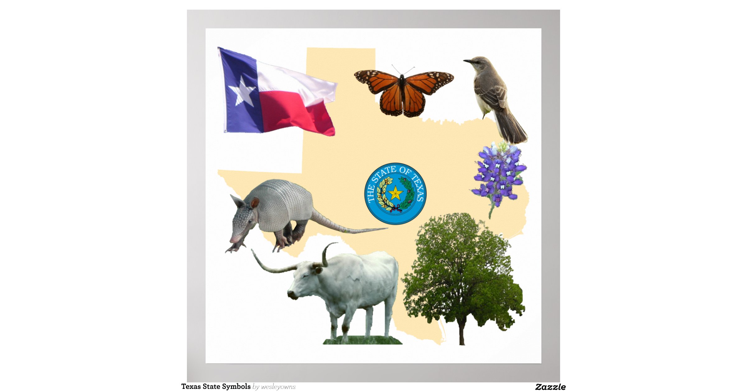 texas_state_symbols_poster-ra7ebeef999714f0898f140c97d742eee_w2q_8byvr ...