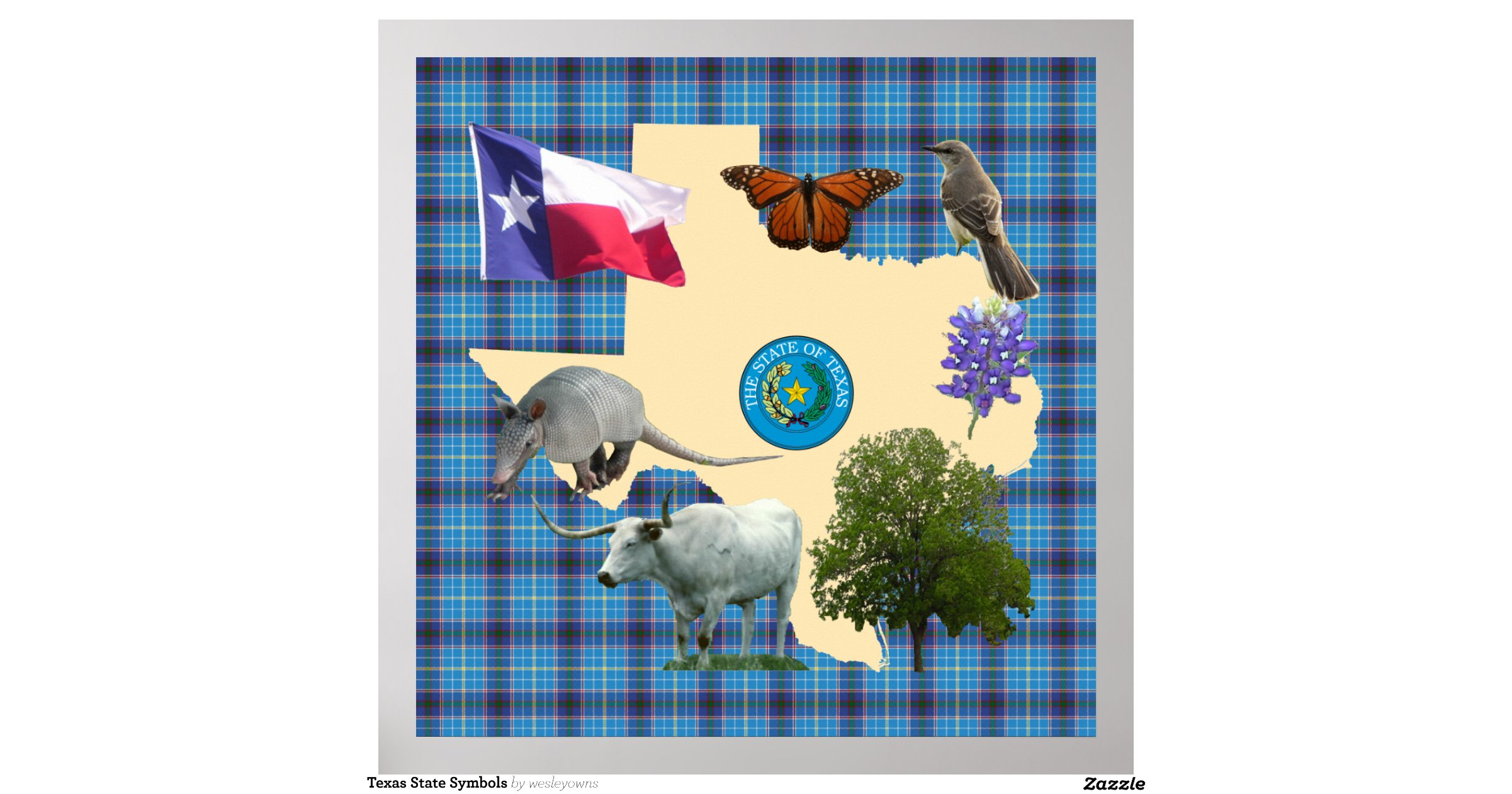 texas_state_symbols_poster-rc2dfb0dec7ca42ca87df3b52820a4147_w2q_8byvr ...