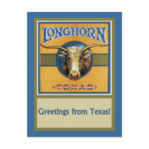 Texas Steer Longhorn postcards by FRUITLOOPY Texas Steer Longhorn postcards