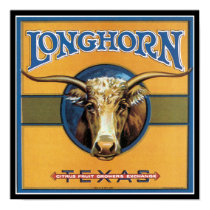 Texas Steer Longhorn Poster