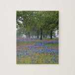 Texas, Texas Hill Country, Texas Paintbrush and Puzzles