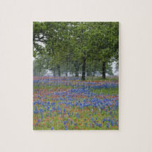 Texas, Texas Hill Country, Texas Paintbrush and Puzzles