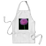 Texas thistle (Cirsium texanum) aprons