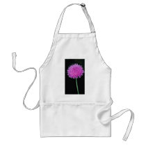 Texas thistle (Cirsium texanum)  flowers Aprons