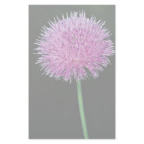 Texas thistle (Cirsium texanum) Stationery Design