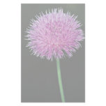 Texas thistle (Cirsium texanum) Stationery Design