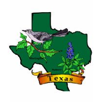 Texas t-shirts by lynnhsmomof2 Texas t-shirts