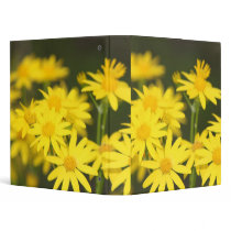 Texas Wildflower: Early Spring Golden Ragwort Binders