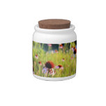 Texas Wildflowers - Coneflower candy jars
