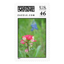 Texas Wildflowers postage
