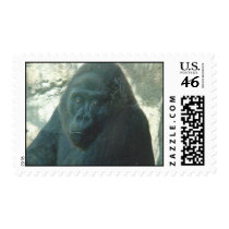 Texas Zoo Gorilla postage by sumiko Texas Zoo Gorilla postage