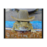 Texe's Cousin...bIg hAt rEx Postcards