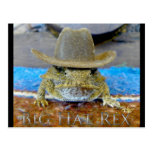 Texe's Cousin...bIg hAt rEx Postcards