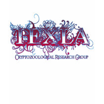 Texla t-shirts