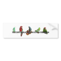 Texting while driving is for the birds bumper stickers