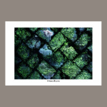 Texture #1 posters