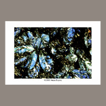 Texture #3 posters