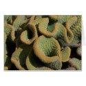 Texture at the Huntington 1 cards
