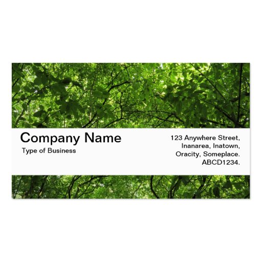Texture Band V2 - Woodland Canopy Business Card Templates (front side)