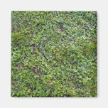 Texture of Grass and Small Plants Fridge Magnets