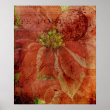 Textured Christmas Poinsettia Poster