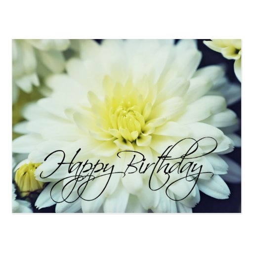 Textured Chrysanthemum Happy Birthday Postcard | Zazzle