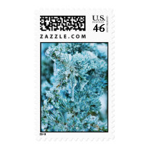Textured Icy Pine Postage