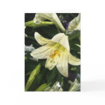 Textured Lilly cards
