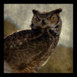 Textured Owl Print posters