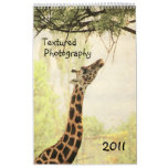 Textured photography 3 - 2011 calendar